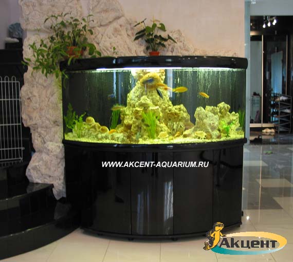 Акцент-аквариум,аквариум 350 литров с гнутым передним стеклом